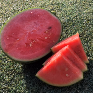 THE!薄皮小玉すいか1玉＆お野菜5品セット！