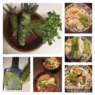 みんなの投稿の画像