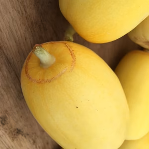 滋賀県在来「小川まくわ瓜」(農薬不使用)完熟です！