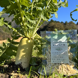 【無添加】秋大根を「切り干し大根へ」　80g/袋