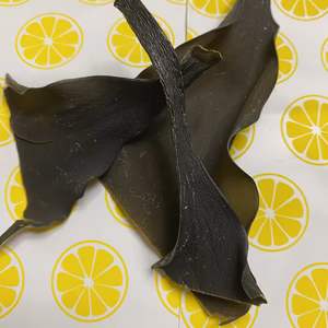 道南産　養殖　真昆布　頭(かしら)300g