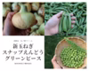 春の旬を食べよう!!無農薬新玉ねぎとお豆たっぷりセット!!