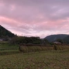 【黒米】手植え 手刈り 天日干しの自然栽培米
