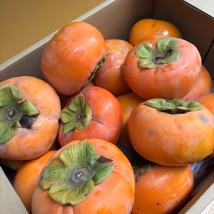 富有柿　和歌山産　訳あり品【送料割引】　