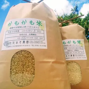 合鴨農法　かもかも米　5㎏×２　組み合わせ自由