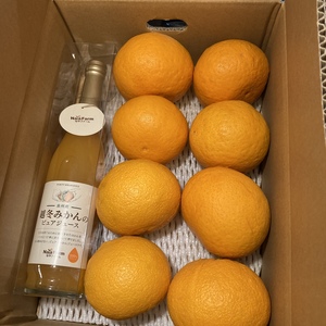 越冬みかんジュースと甘夏セット