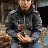 徳永貴久 | 合同会社積善ファーム