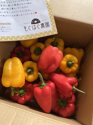 みんなの投稿の画像