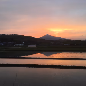 みっちゃんさん専用