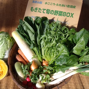 ☆月イチお届け☆もぎたて旬の野菜定期ＢＯＸ(Lサイズ11～12品目)