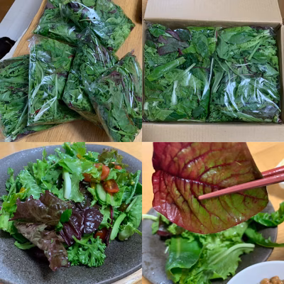 みんなの投稿の画像