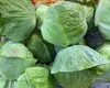 [土曜発送]　子育て農家の野菜セット　選べる2サイズ