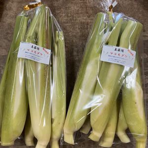 【自然栽培】秋の味覚！　神宿る草「マコモダケ」真菰筍
