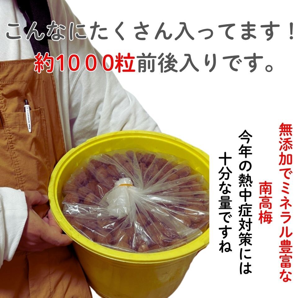 ★数量限定！ 紀州南高梅 樽 5000g 無添加 和歌山 紀州 白梅 1008 ☆数量限定！ 紀州南高梅 樽 5000g 無添加 和歌山 紀州 白梅