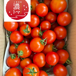【希少】アイメック農法で育ったフルティカトマト「濃トマ」1kg