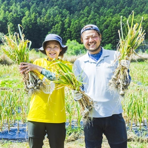 農薬不使用・化学肥料不使用のにんにく1kg！清流古座川に育まれた土地で作る野菜