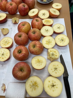 みんなの投稿の画像