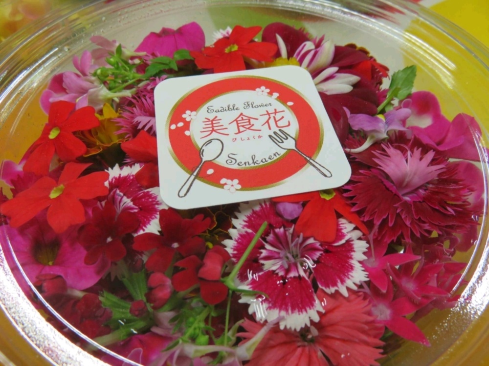 花＊花さま 専用品 f_jpg