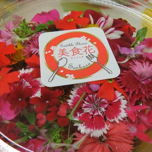 エディブルフラワー「美食花」赤系