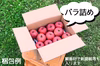 【8周年福袋】【減農薬栽培】りんご 訳あり 8月下旬〜 サンつがる 3kg〜  