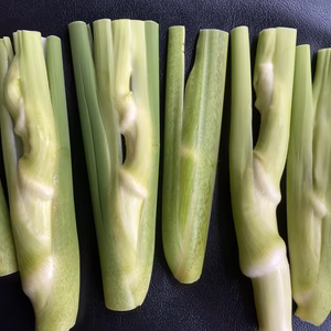 わけあり！！[ 自然栽培 ] まこもたけ