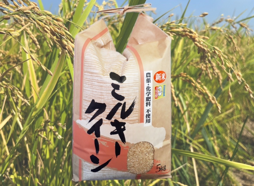ミルキークイーン玄米5㎏ 無農薬栽培 令和6年産｜米・穀類の商品