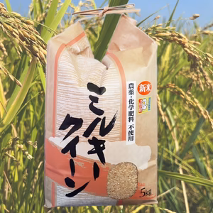 ミルキークイーン玄米5㎏　無農薬栽培　令和4年産