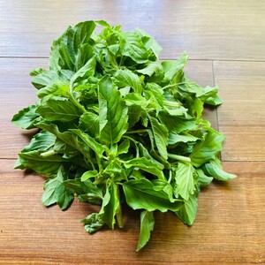 ※ラク様専用【本格的なエスニック料理にかかせないホーリーバジル　ガパオ 1kg】