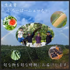 【傷ありだけど味は絶品！】山梨 訳あり桃 ご家庭用 (2kg)