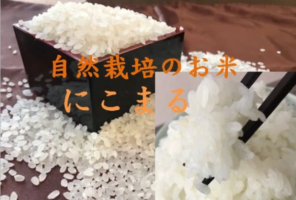 令和元年度産自然栽培米「にこまる」白米（10ｋｇ）風袋含む