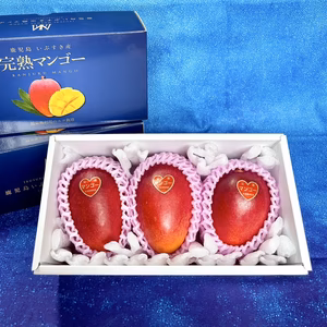 鹿児島県指宿産 完熟 マンゴー 3玉入り800g（約260g/1玉）化粧箱入