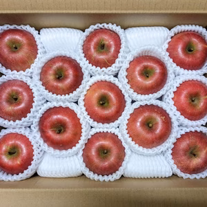 12月発送予約【国光】今や幻！懐かしい味 農薬60％減【昔のりんご】