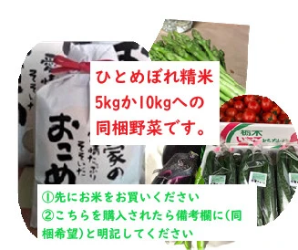 【ひとめぼれ精米への同梱用】季節の野菜（秋バージョン）セット