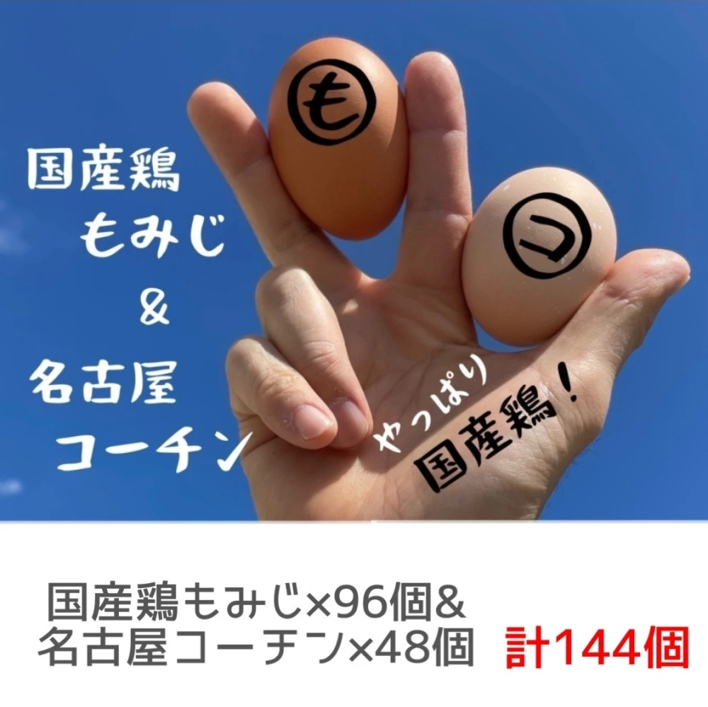 やっぱり国産鶏×144個【国産鶏もみじ×96個＆名古屋コーチン×48個】