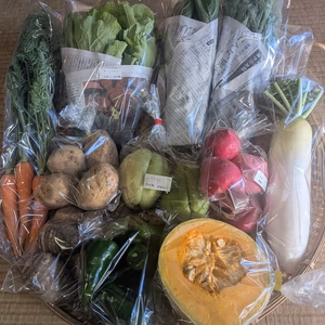 【自然栽培】『常温便』季節の野菜セット6～8品『群馬県産』