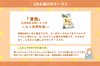 国産チーズを食べ比べ！「にっぽんのチーズ定期便」