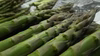 上富良野産 朝採りグリーンアスパラ