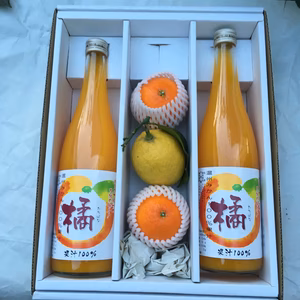 【ギフト対応】有機栽培 みかんジュース2本(柑橘付き)