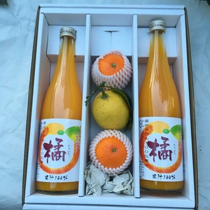 【ギフト対応】有機栽培 みかんジュース2本(柑橘付き)