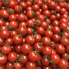 【自然栽培】神子原トマトピューレ