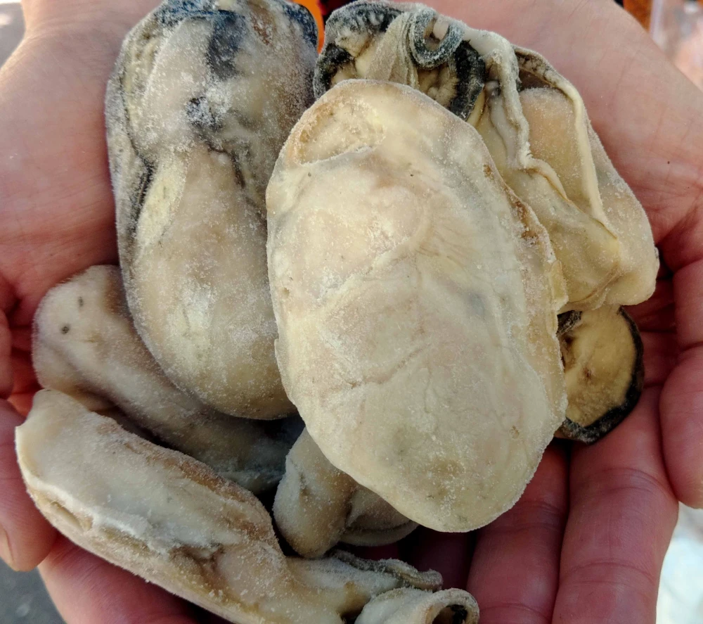 冷凍牡蠣むきみ！２ｋｇ（約６０粒）牡蠣フライなどに だいぶ旨いやつですよ。牡蠣