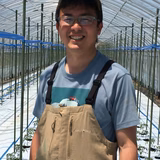 荒木昌造 | トマト農園Soil