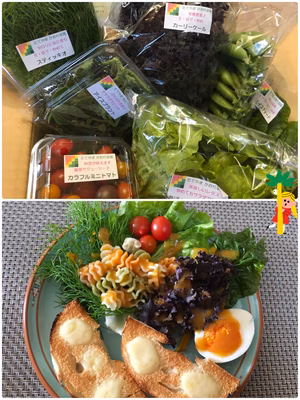 みんなの投稿の画像