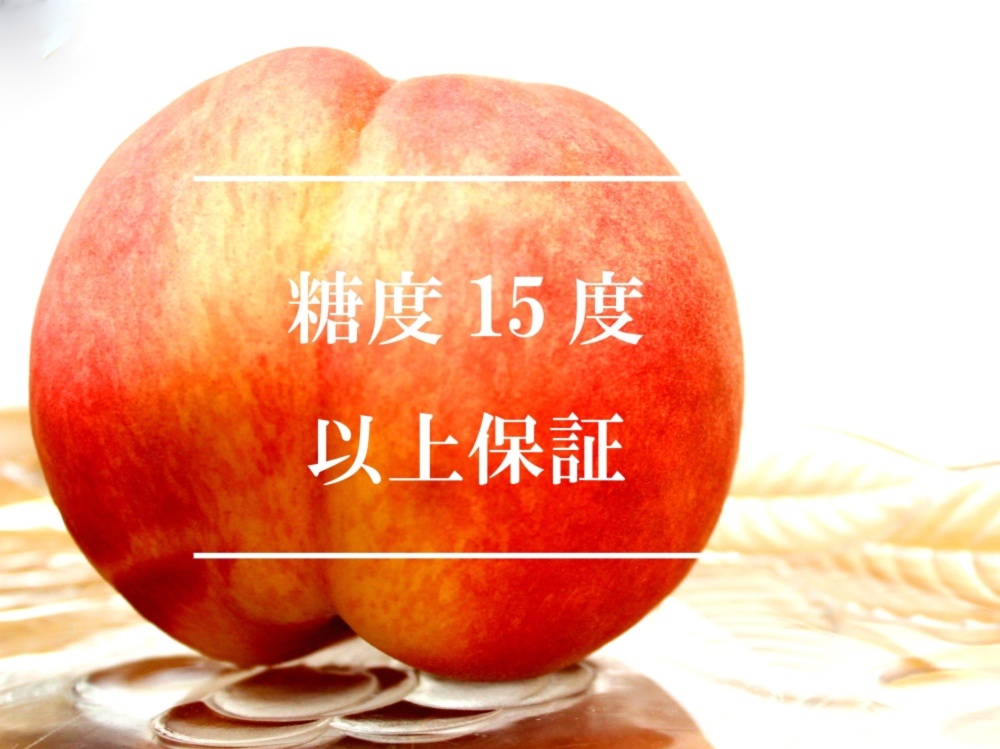 限界 糖度15度以上保証感動日川白鳳桃 早生桃最高峰 農家漁師から産地直送の通販 ポケットマルシェ