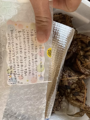 みんなの投稿の画像