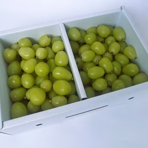 シャインマスカット　粒BOX