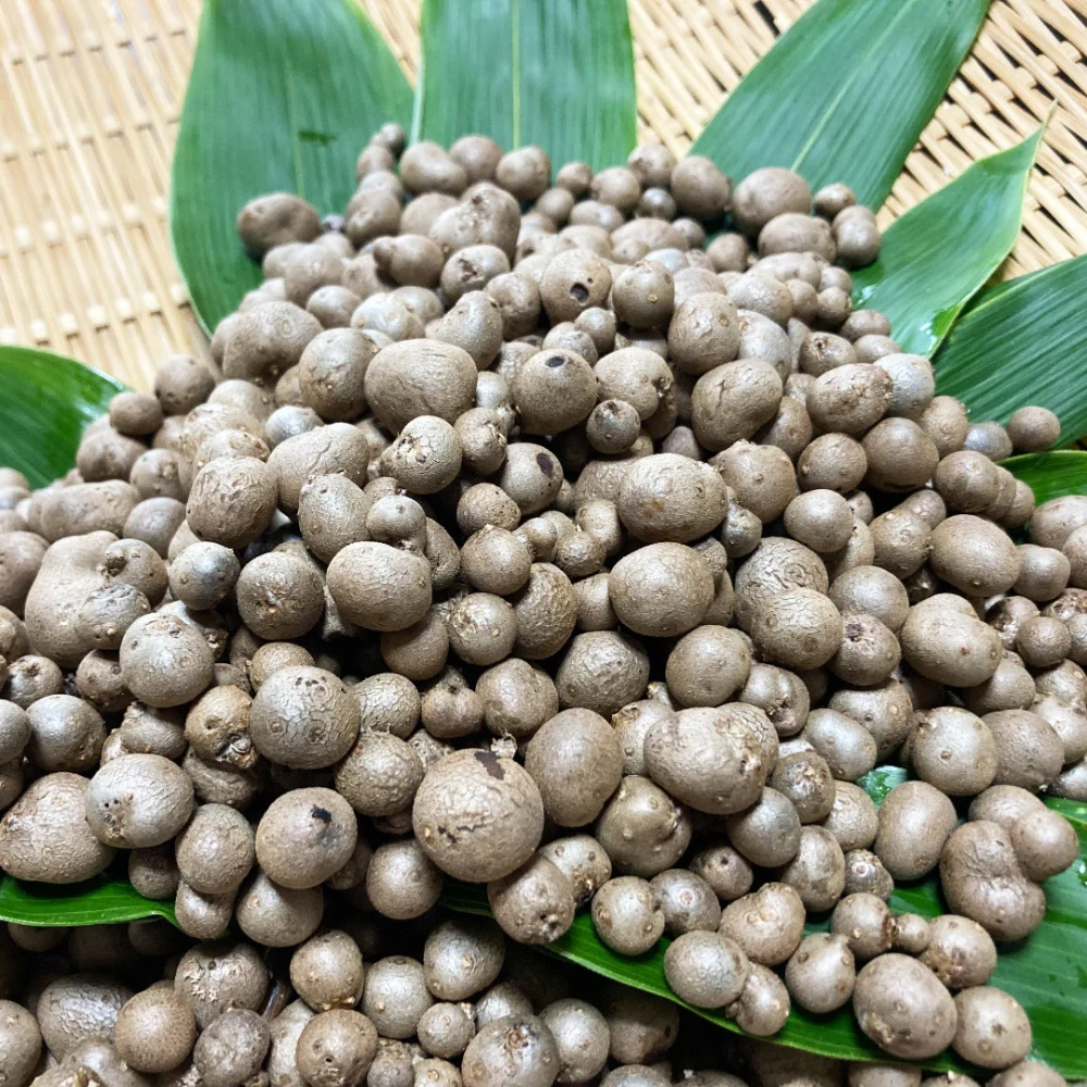 送料無料・プレゼント付き！青森県産山芋のむかご400g＋α