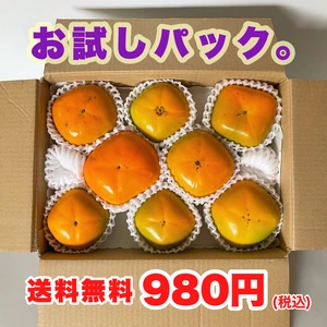 キタヤマ果樹園の柿　お試しパック 6ー8個入り サイズ混合《送料無料》