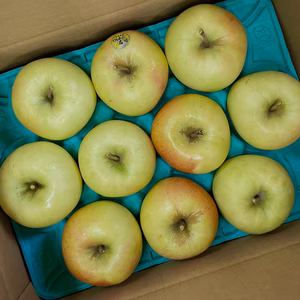 甘いりんごが好きな方に「ぐんま名月」