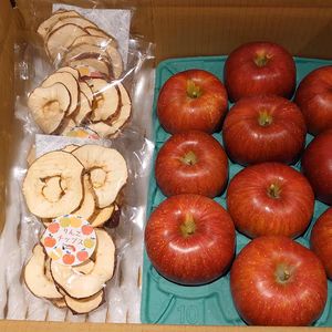 信州麻績村産のシナノスイート(家庭用)！約3kgとりんごチップス40g3袋